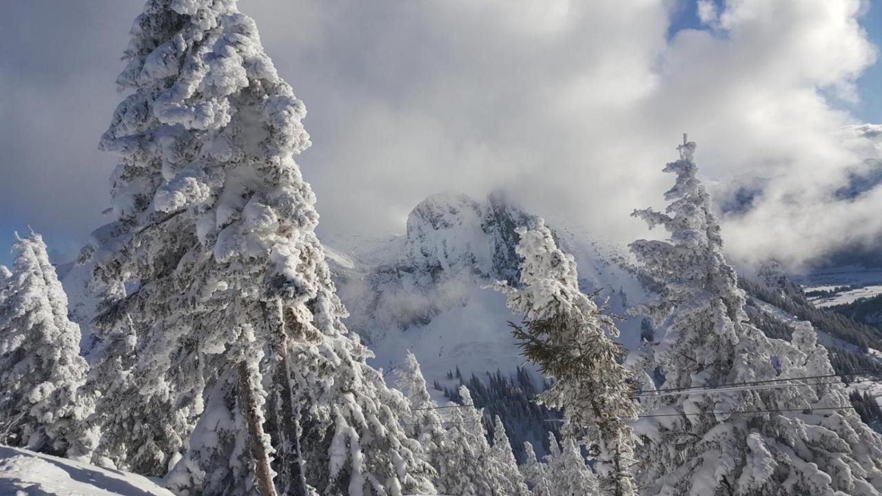 Alpenchalet Vils Tirol Luaran gambar